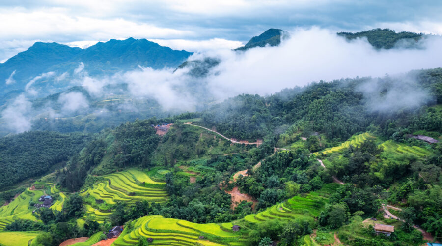 Scenic lush rice field terraces with barn and foggy during harvest season in countryside