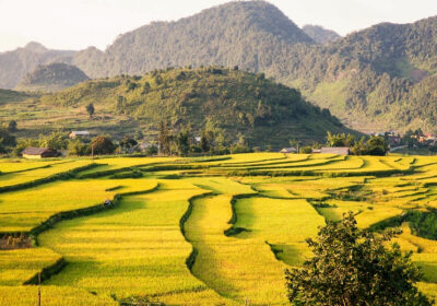 Ha Giang
