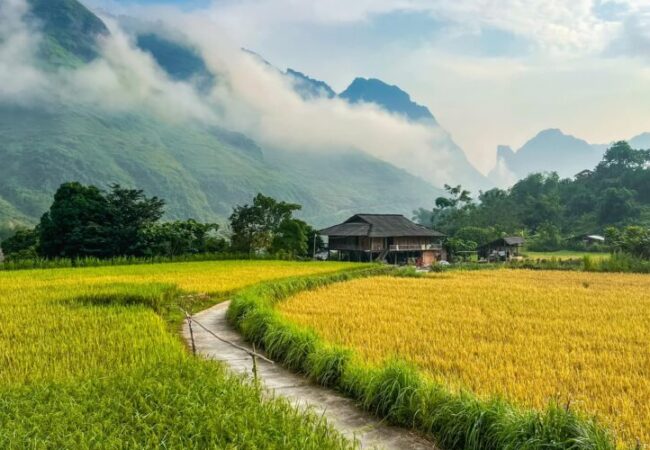 Yen Minh, Ha Giang