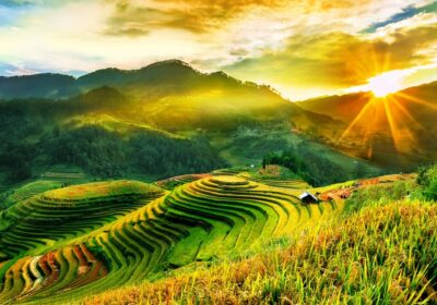 Ha Giang rice terraces